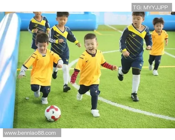 中国足球明星汇聚地揭秘哪个省份人才最多