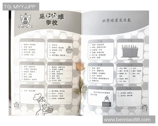 国际足球明星的传奇故事与他们的辉煌成就解析