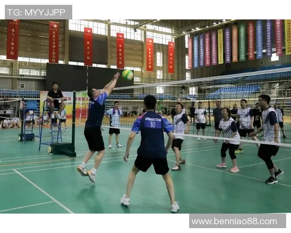 深圳排球队的奋斗与荣耀：一段不平凡的排球纪实之旅